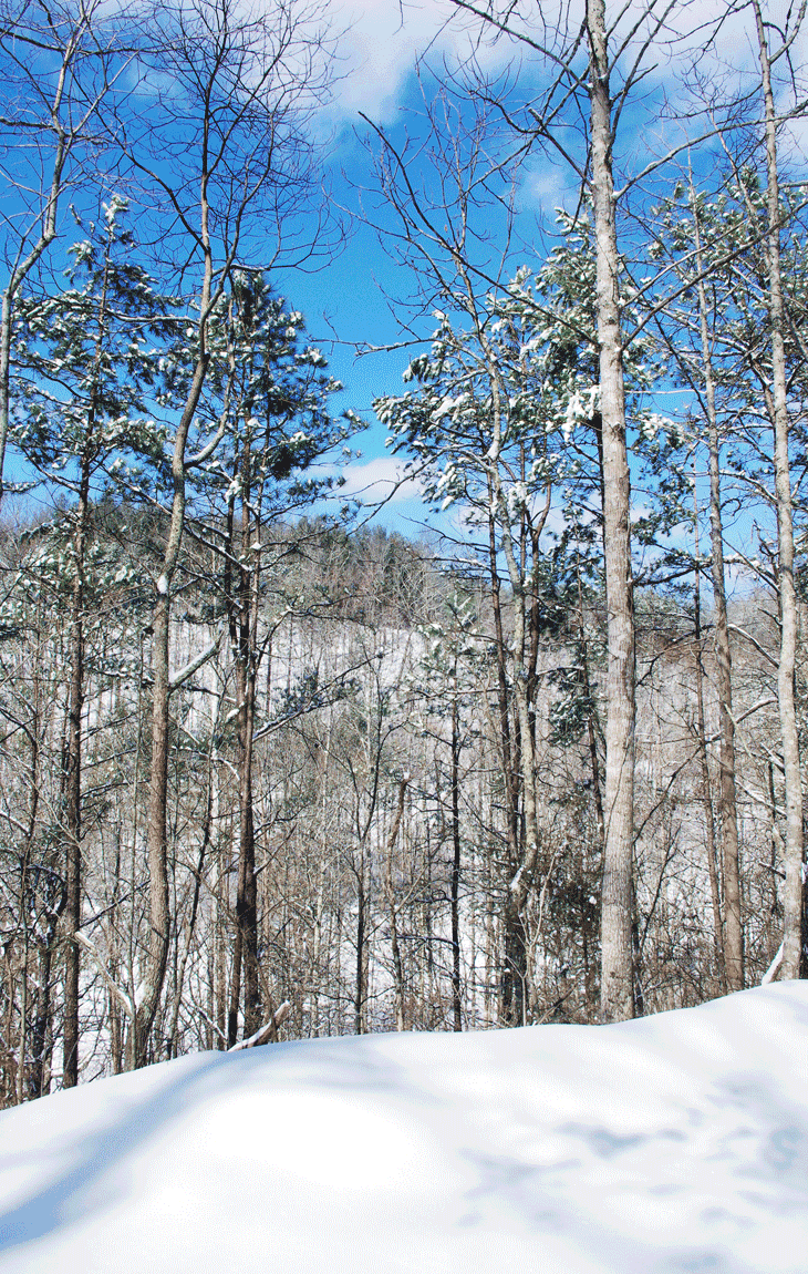 Snow in Kentucky. February, 2015
