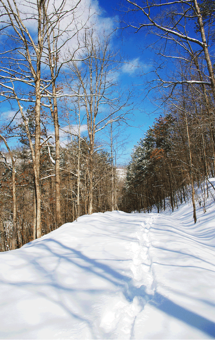 Snow in Kentucky. February, 2015